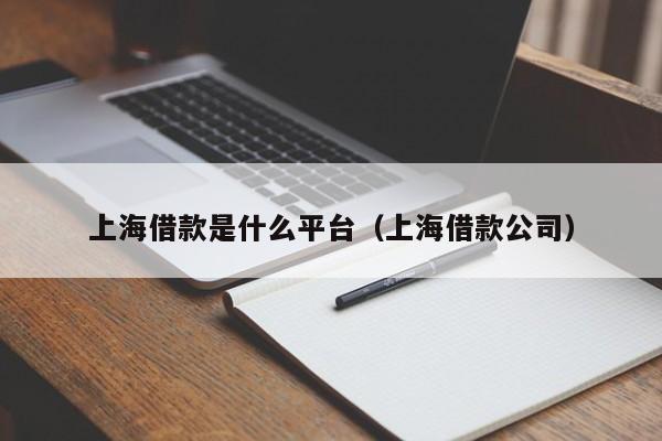 上海借款是什么平台（上海借款公司）